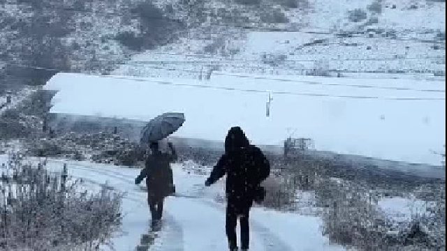 离开家乡那天，下了很大的雪，车子走不了，父母拉着架子车，走了很远很远的地方
