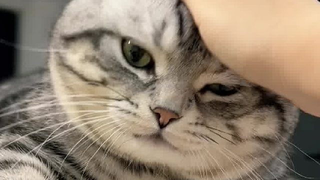 就你这样的扔出去都没人要