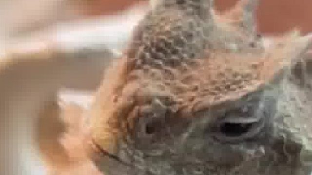 表情已经说明了一切