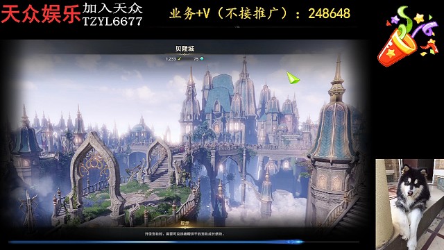 发生什么让主播笑出了猪叫声？