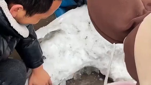 咋不见猪血[捂脸]