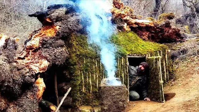 大雪即将来临，男子巧妙利用倒塌的干枯大树，打造超隐蔽的避难所