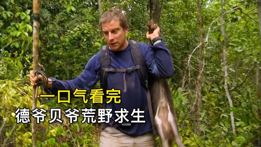 一口气看完德爷贝爷荒野求生，烹饪美食、住豪华别墅