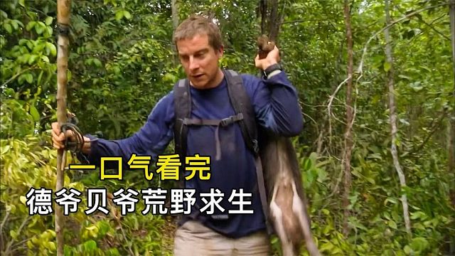 一口氣看完德爺貝爺荒野求生，烹飪美食、住豪華別墅