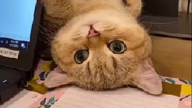 工作被打扰怎么办