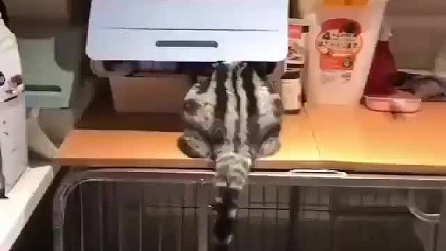 师傅，是不是不太好修