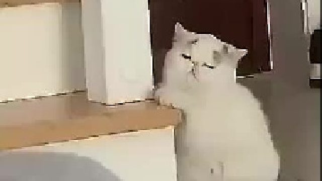 像极了你上学时的样子哈哈哈哈哈