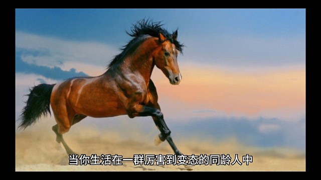 圈子决定人的能力和学到的东西