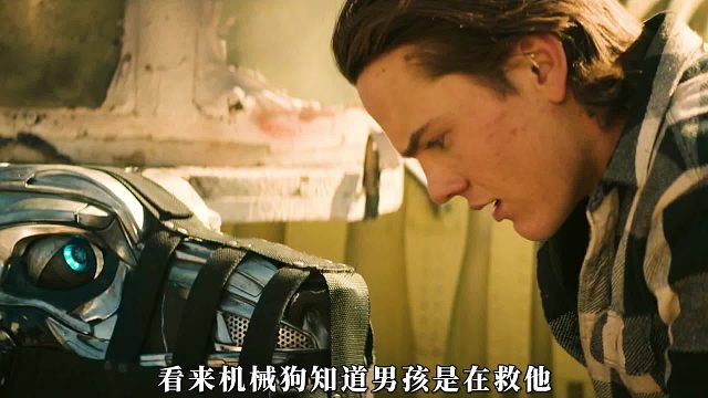 男孩在外开车时，捡到一只高科技机械狗