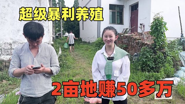 一斤卖100元，养2亩地赚50多万，繁殖快利润高，超级暴利！