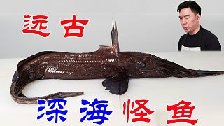 （下）可遇不可求的深海怪魚(yú)，出鍋后好吃的不得了，這輩子不會(huì)再吃了