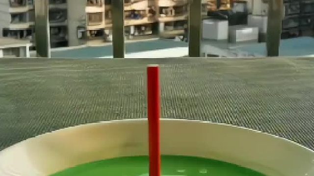 哇塞，那个彩球竞然被抓回来了，小孩子看的笑出了猪叫声！