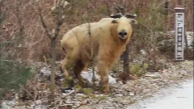 请大家敬畏大自然