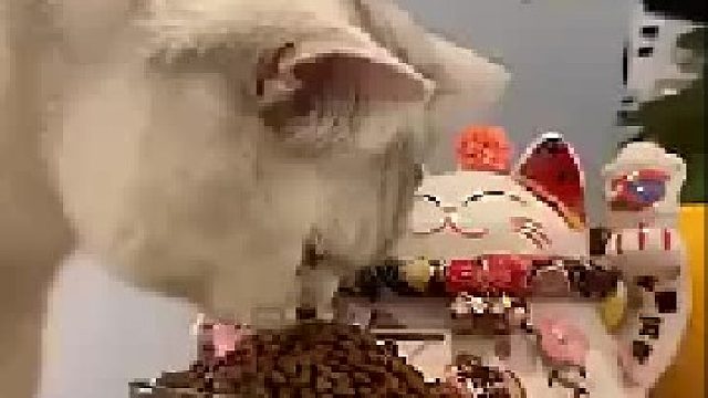 化悲愤为食欲，骂的越凶，嘴张得越大！