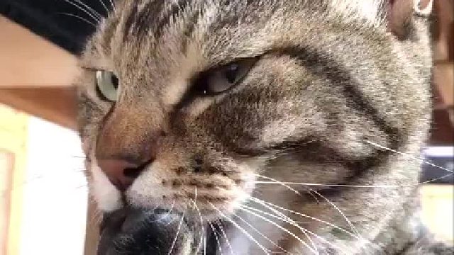 用最凶的表情做着最幼稚的事