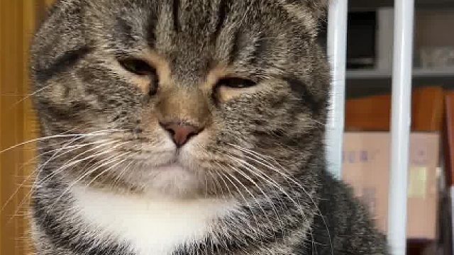 你这身材哪里像吃苦的样子 ​