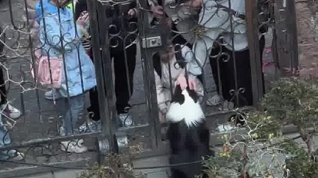 好幸福的一只狗啊…