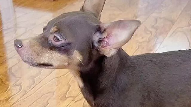 思路清晰叙述清楚，这状告的明明白白