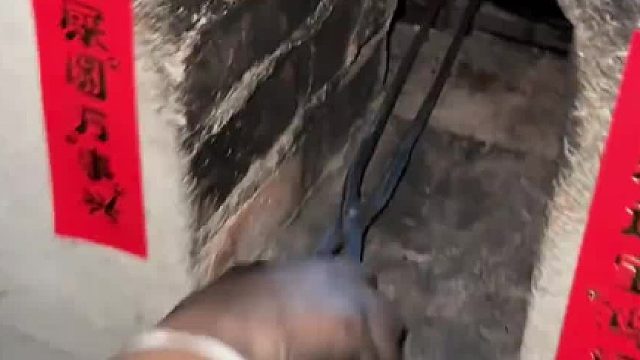 南方小土豆回村爆改黑皮体育生