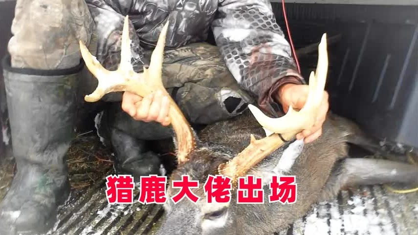 10人荒野求生，大佬狩猎捕鱼吃到爽，菜鸟连饿十天未开荤，纪录片