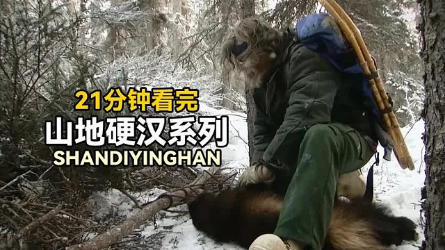 一口气看完山地硬汉系列：大佬荒野追踪驯鹿，猎人雪地对抗狼獾！