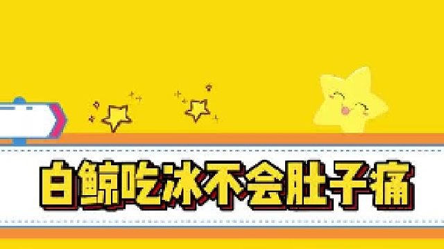 白鲸吃冰真的不会肚子痛吗