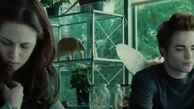 每个人都有独特体味，为什么欧美人天生体味重，而中国人没有01