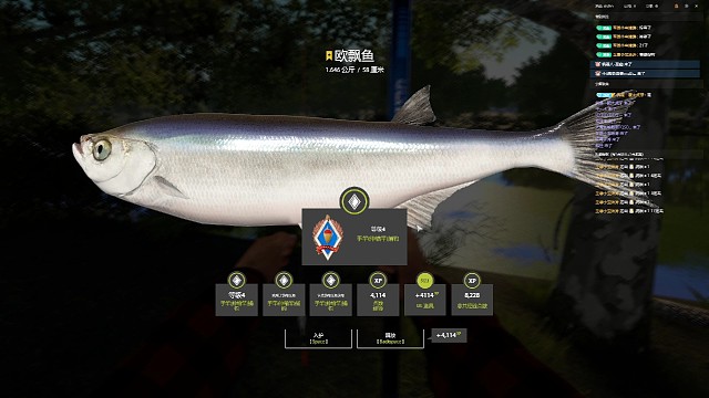 手竿资格  欧飘鱼