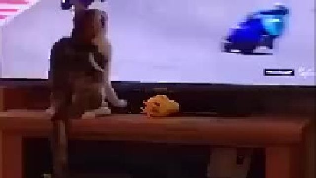 车手：他扒拉我