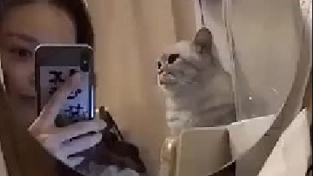 猫星人：我的眼里只有你！