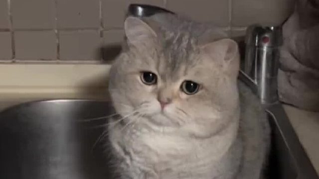 年终总结请把费用结一下吧