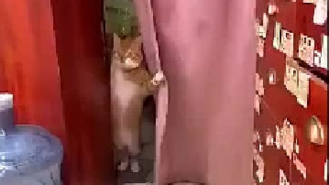 进来玩会儿吗？___不正经的喵