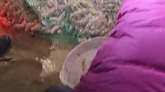 坐标，烟台。假如这一网是你拖上来的，我想了解一下此时的心情是啥样呢？