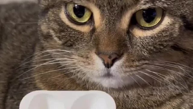 有人猜测它可能在哪里吗