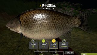沖刺136星-28圖阿赫圖巴河-黑牛胭脂魚   坐標：126  133卡21米
