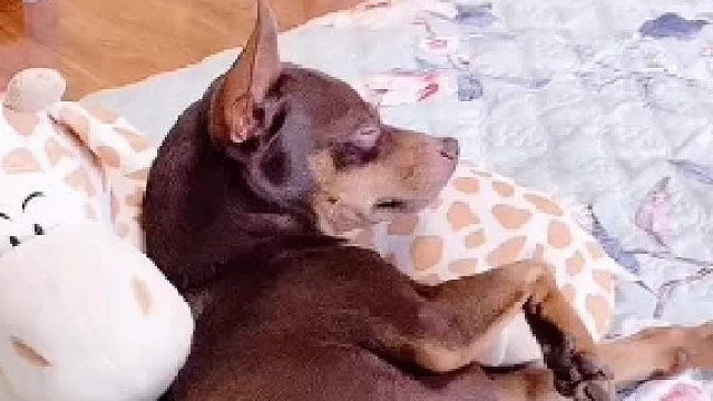 我能想的办法都想过了采不采纳你看着办