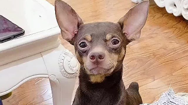 求人就得有求人的态度