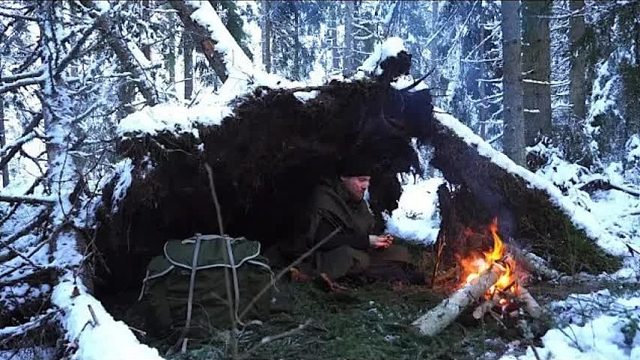 大叔疯狂穿越极地森林，连根拔起的大树根，成了保命避寒的落脚地