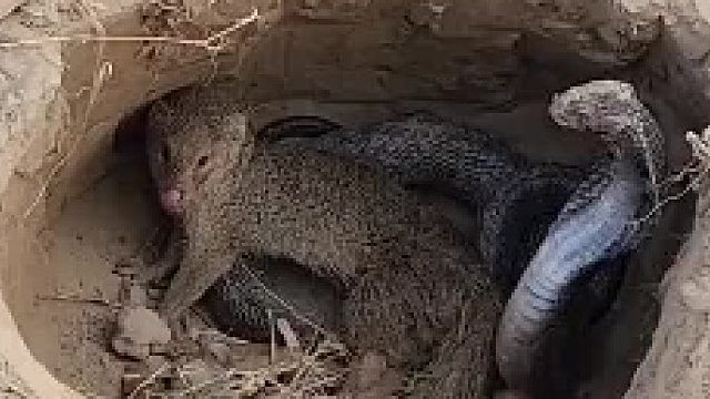 吃完辣条浑身麻酥酥的，得劲儿