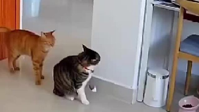 乔峰恶战聚贤庄也不过如此