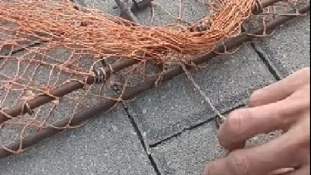 趁你病，要你命！