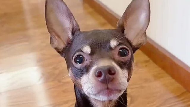 这一招果然屡试不爽，哈哈哈