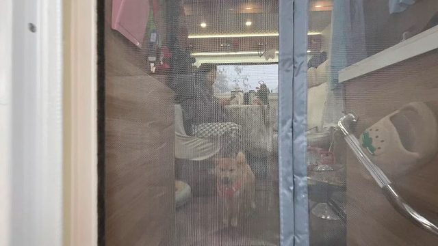 与江苏美女准备在雷州一起过年，带着她去找地方蹭饭吃