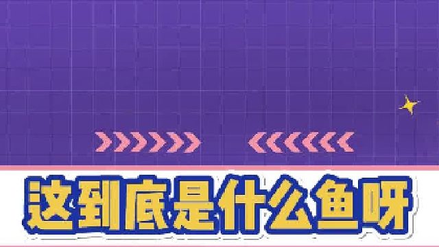 这是什么鱼，有正经科普的吗