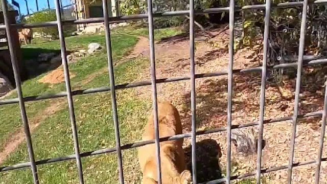 世界上最危险的5大酒店，一翻身就是悬崖，半夜要上厕所怎么办02