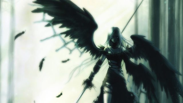 美人的直播间片段4