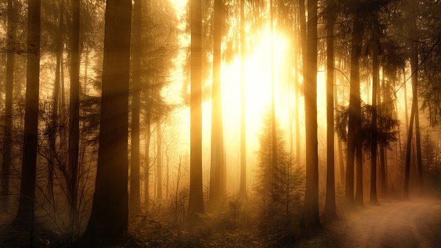 130R慢热纯丝路币暗月比片段1