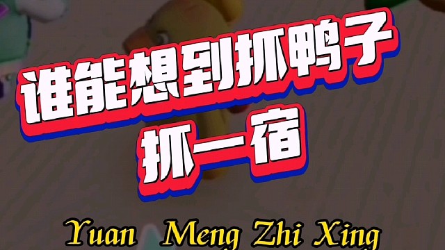 谁能想到抓鸭子抓一宿