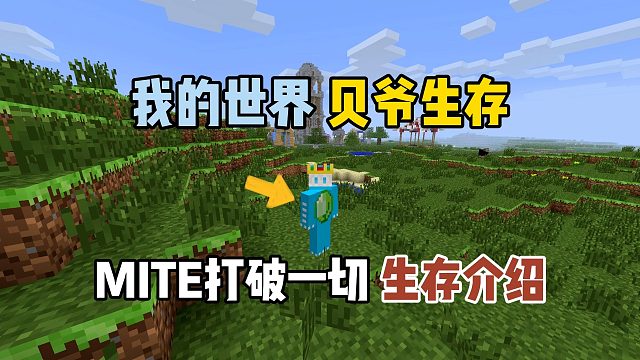 我的世界贝爷生存：MITE打破一切生存介绍！