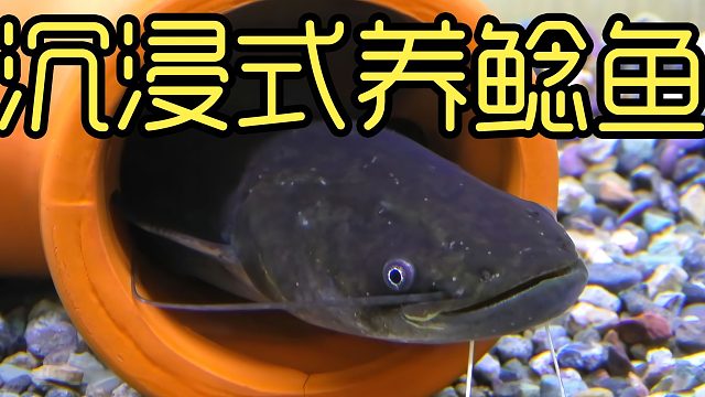 奇怪的治愈方式会有效吗